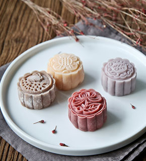 烘培西点创业班