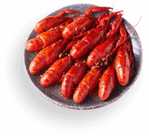 百种课程任意选4：特色小吃